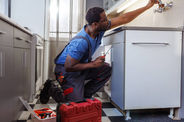 Best 24-Hour Plumber Near Me  in Westvle, IL