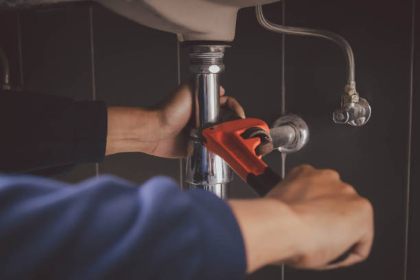 Best Plumbing Services Near Me  in Westvle, IL
