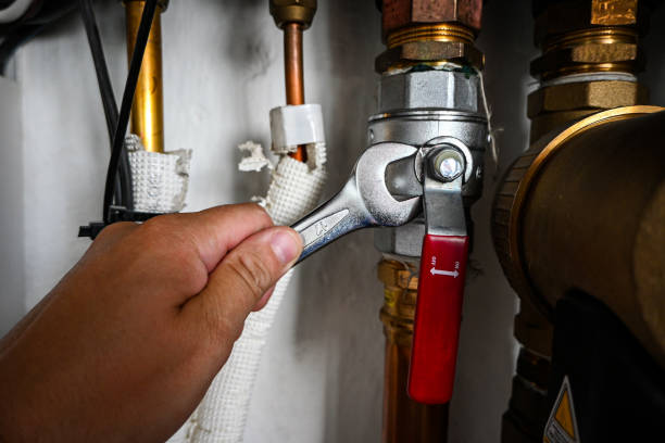 Best Best Plumbers Near Me  in Westvle, IL